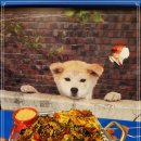 평범식당 이미지