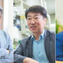 시니어를 위한 영어 그림책 이미지