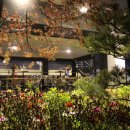 강남-176 이미지