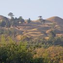 묘산여관 이미지