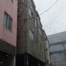 신안동6 이미지