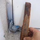 명지배화유치원 이미지