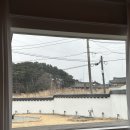 [애견동반숙소] 컴페니언바이경포 :: 강릉 애견동반숙소, 마당 있는 독채 한옥펜션