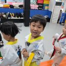 한울타리태권도장 이미지