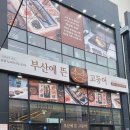 동명산업개발 | 화덕 생선구이 한상이 보약인 곳, "부산에 뜬 고등어" 방문 후기
