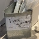 탐이나인형방 | 도쿄 4박5일 혼자 여행, 갬성 핫플 위주의 마지막날 일정