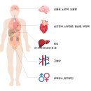 안기현이비인후과의원 | 충주수면무호흡 치료가 필수인 이유 &lt;공개&gt;