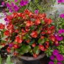 산수가든민박 이미지