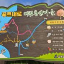푸르내로마을 네이버블로그