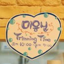 분당고은 동물병원 이미지