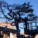 전남과학고등학교 이미지