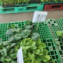 신도농업협동조합 이미지