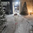 홍이건강기능식품 | 울 예삐 어린이면역력높이는방법 찾다가 선택한 건강기능식품