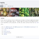 청송청과 이미지