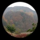 주리농장 이미지