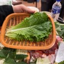 남이섬(추가) 이미지