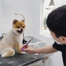 루앤오 이미지