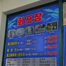 청파사 | 제주 싱싱한 활고등어회 맛집 청파식당횟집