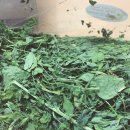 달나라 토끼농장 이미지