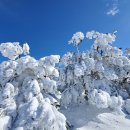 한라산 눈꽃산행 및 차귀도 탐방 안내(24.1. 6 ~ 1. 7 ) 이미지