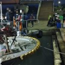 보령경찰서 이미지