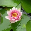 이*연 - 미추홀구 낙섬중로 102 | 이*연