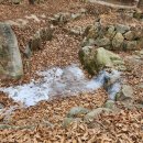 백곰이네 | 우리 백곰이가 잠들어있는곳 다녀온 후기