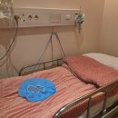 배양 | [신설마리아] 난자채취 결과 &amp; 배양 PRP 후기/비용 - 난저 시험관 12차