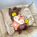 루이독앤디자인