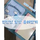 [일상] 2024 산리오 시나모롤 다이어리 내돈내산 구매 후 개시!