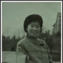 박현령 Daum카페
