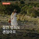 권씨농장 | 도시의 속도에 지쳤다면, 계절은 서두르지 않는다 한 권