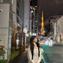 힐링랜드23 성남지점 | 도쿄 숙소 위치 추천 온천 호텔 APA 롯폰기 에키히가시 내돈내산 후기