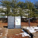 효석문학100리길 제4구간 이미지