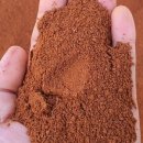 황토어린이집 이미지