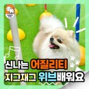 쉐이크테일 강아지 애견 유치원 호텔 미용 이미지