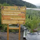 인솔농장 이미지