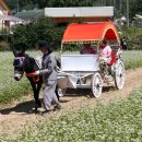 효석문학공원 이미지