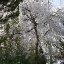 광주공원 어린이 놀이터 이미지