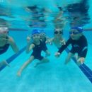 스타키즈 수영장 이미지