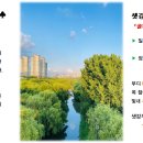 영등포구 신길1동주민센터 다목적회의실 이미지