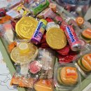 세계 문화 탐험 이미지