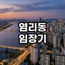 염리초교 | 염리동 임장기 마포 프레스티지 자이부터 염리5구역까지 완벽 가이드