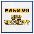 프렌즈동물병원 | 반려동물 보험, 정말 필요할까?