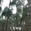 사직공원 유아숲 드림저널