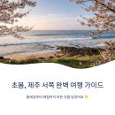 불꽃쉼터 | 초봄, 제주 서쪽 여행 루트와 걷기 좋은 둘레길, 즐길거리까지 완벽 안내!