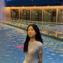 감성있개 이미지