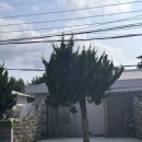 소리소길 이미지