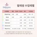 발레썸 무용학원 : 베이직 수업 후기 (합정 성인발레...역 발레입문, 합정키즈발레, 성인발레, 서이추...