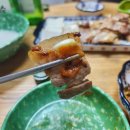 소&돼지야놀아보세
